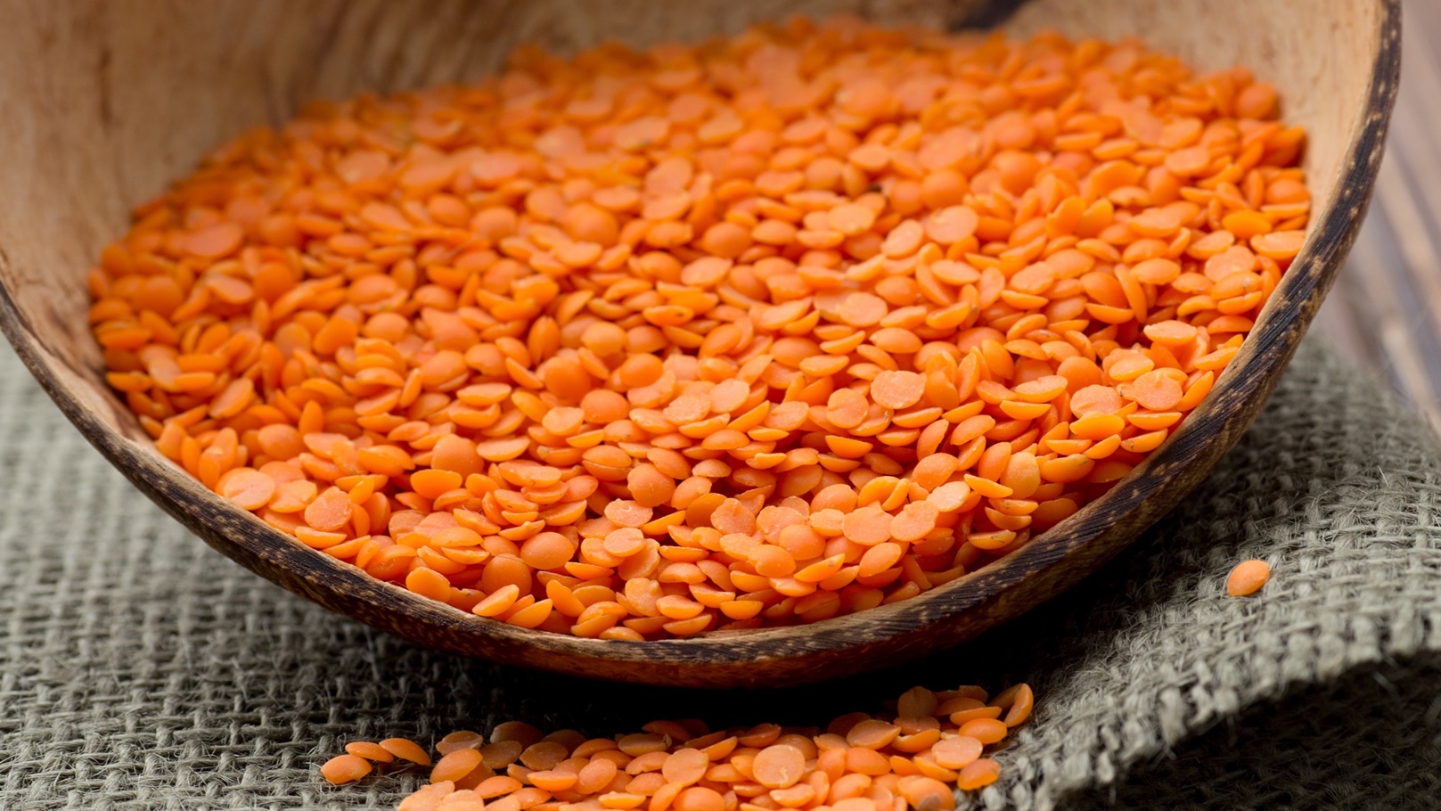 lentil-2021-08-28-14-28-39-utc