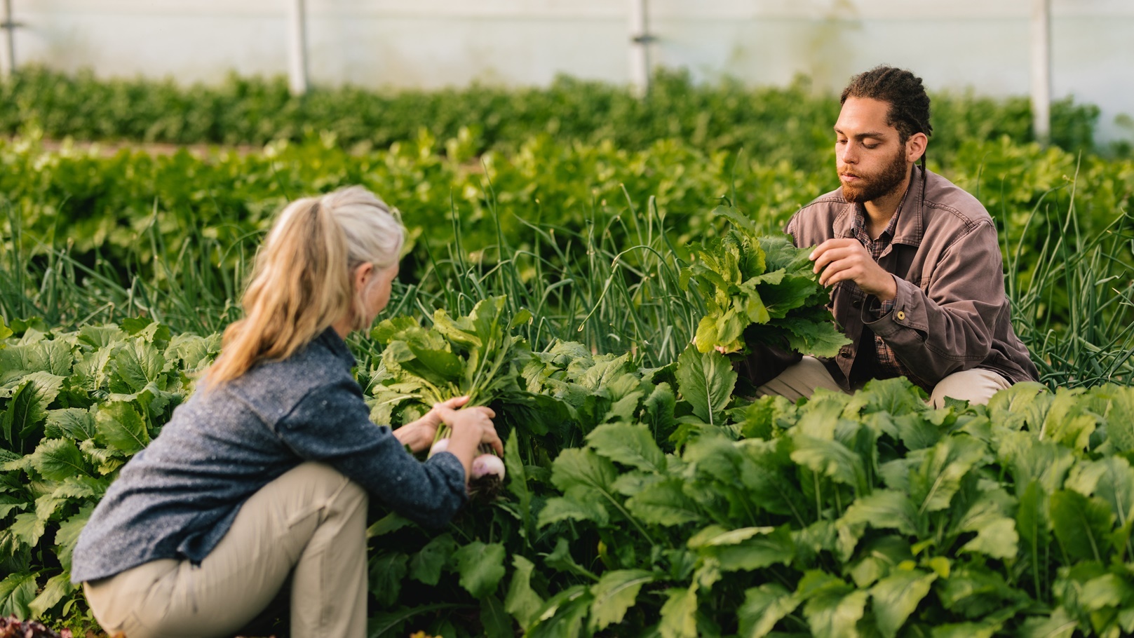 farm-2021-08-30-09-43-42-utc