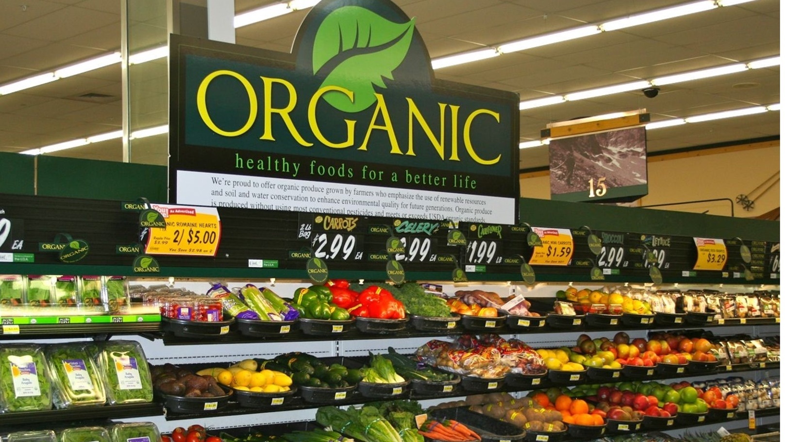 theme-for-food-drink-shop