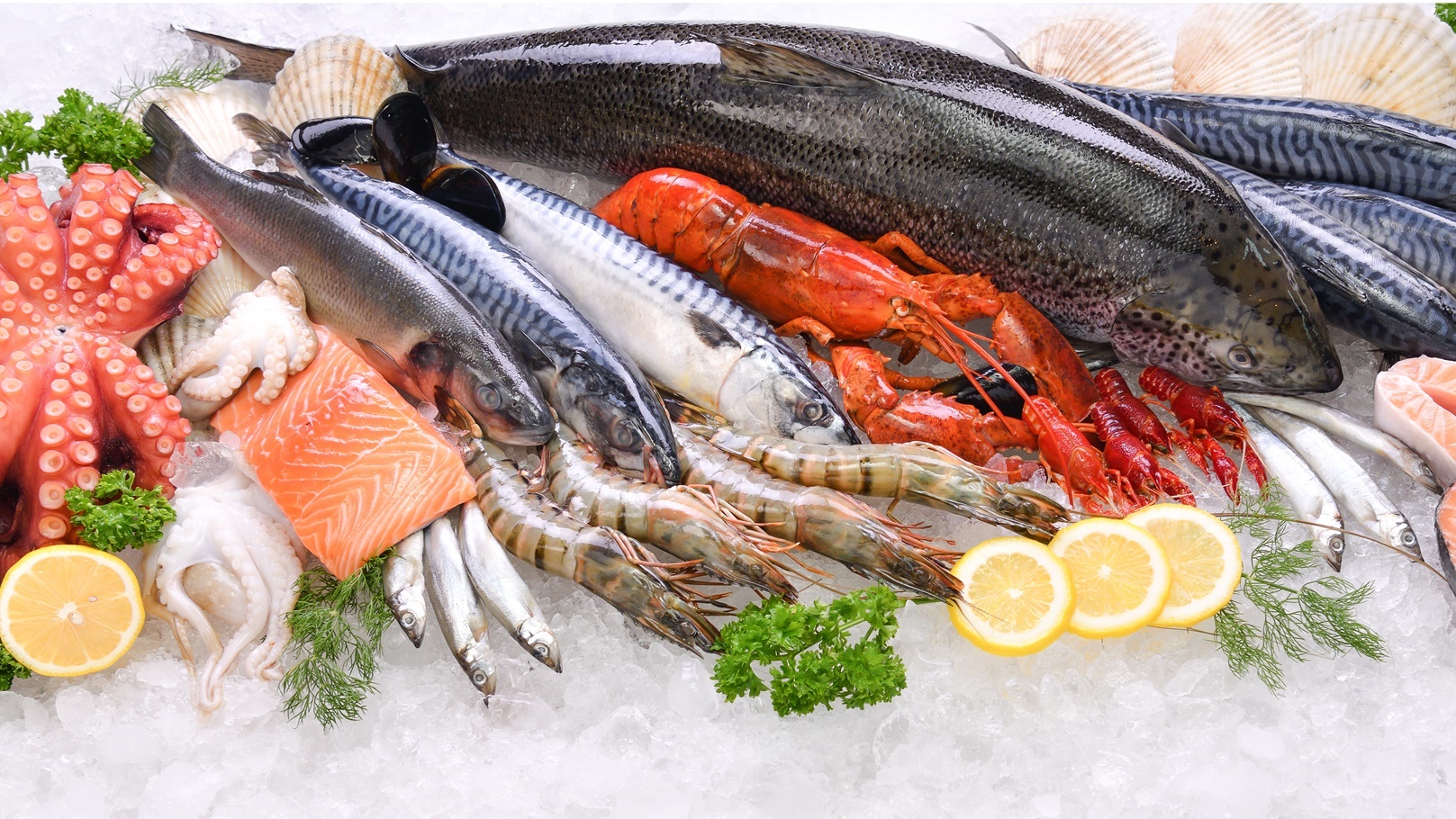 seafood-fish-2021-08-28-20-03-17-utc