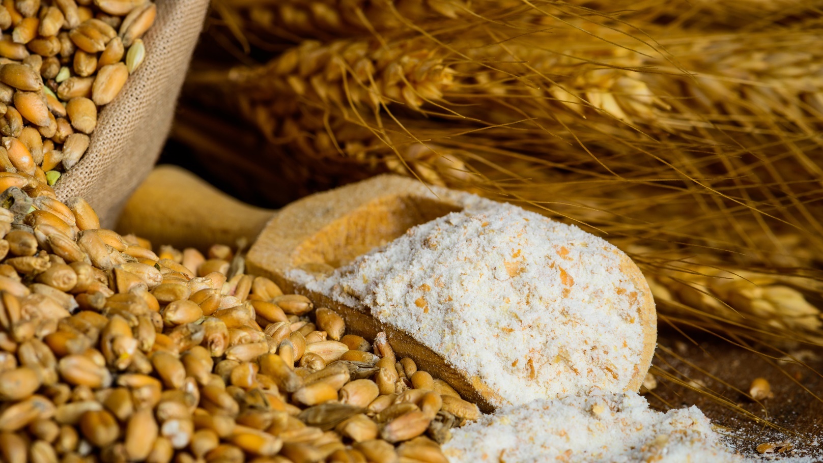 milling-wheat-ingredients-2021-08-26-15-34-10-utc