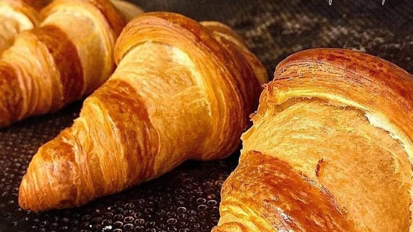 WhatsApp Image 2022-02-12 at 12.02.10 AM