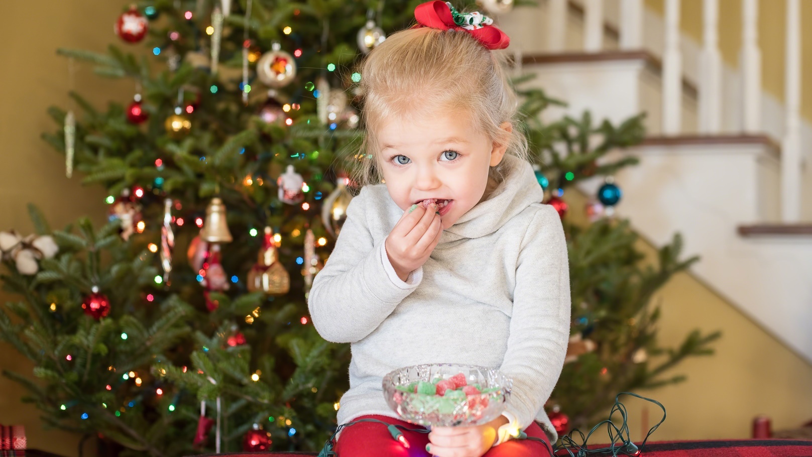 اليوم العالمي لسكاكر الجيلي