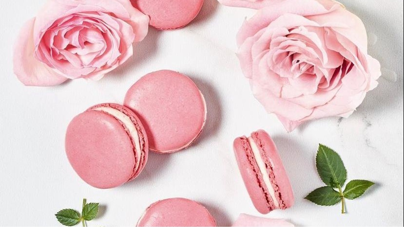 WhatsApp Image 2022-02-17 at 2.04.27 PM