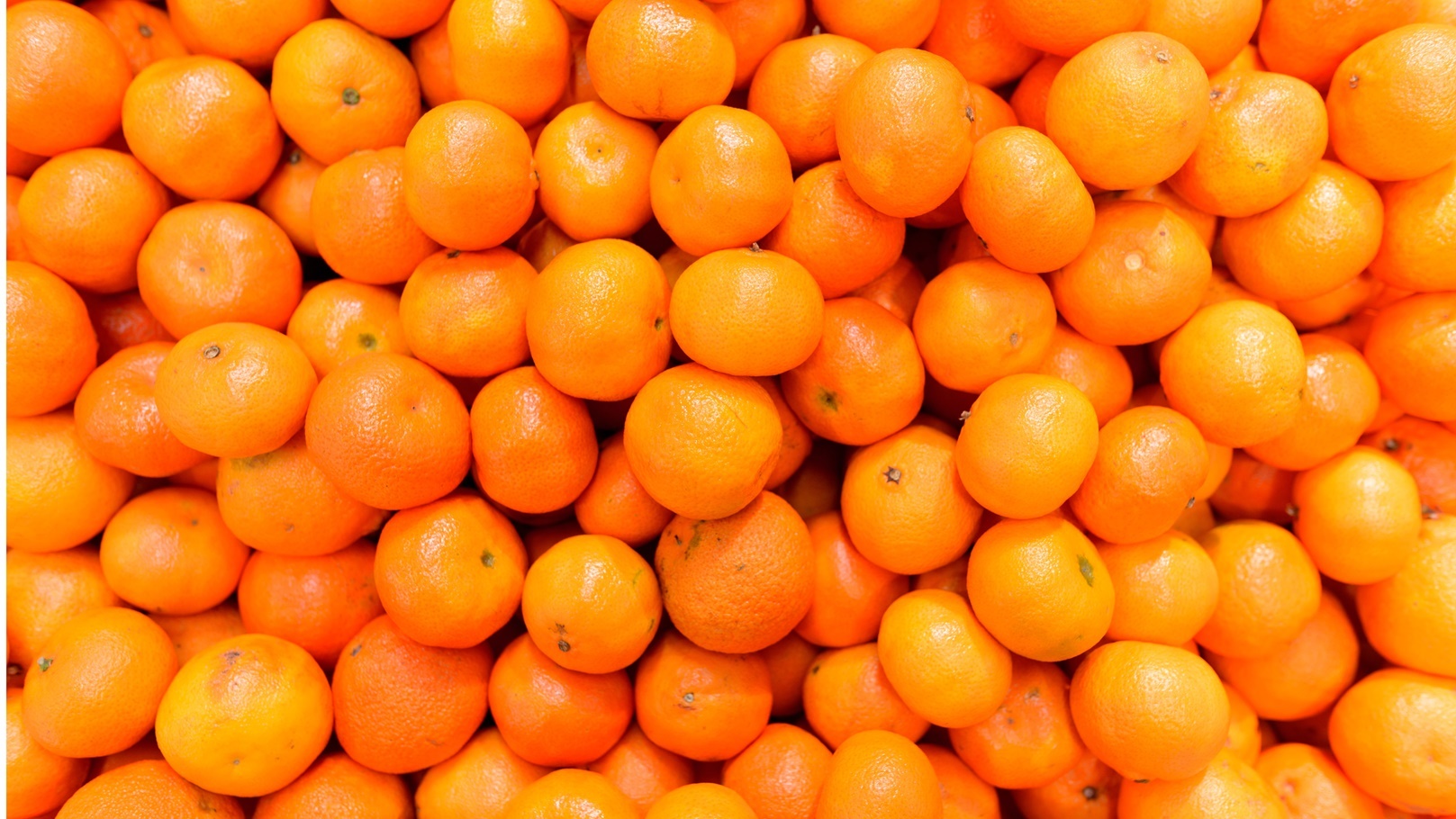 top-view-of-orange-fruits-2021-08-27-18-15-06-utc