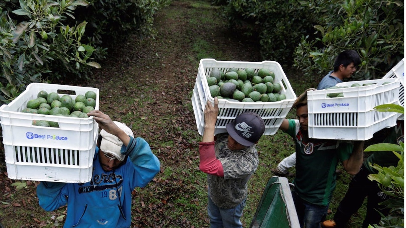 5a2861e8f914c352018b873b