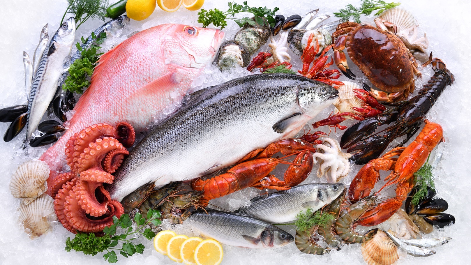 seafood-fish-2021-08-28-20-03-20-utc (1)