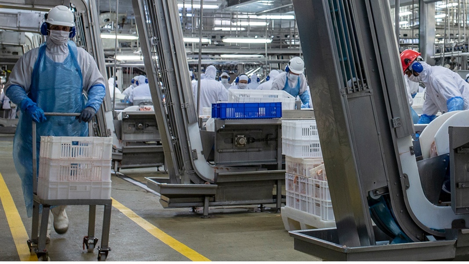 1747a2c05b89bde8ee1d79734bd88423