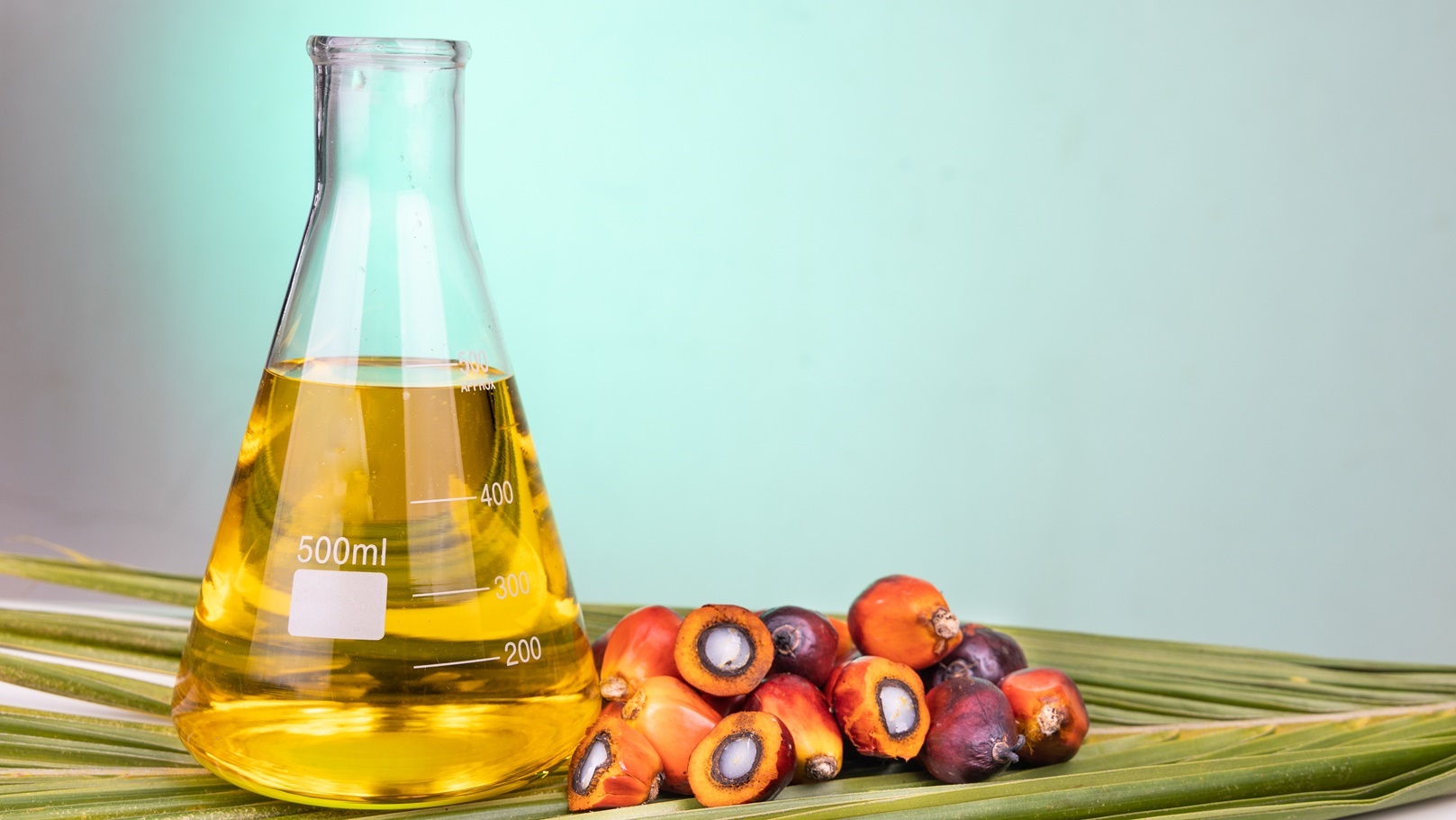 oil-palm-fruits-with-biofuel-in-beaker-in-laborato-2021-08-31-08-46-50-utc