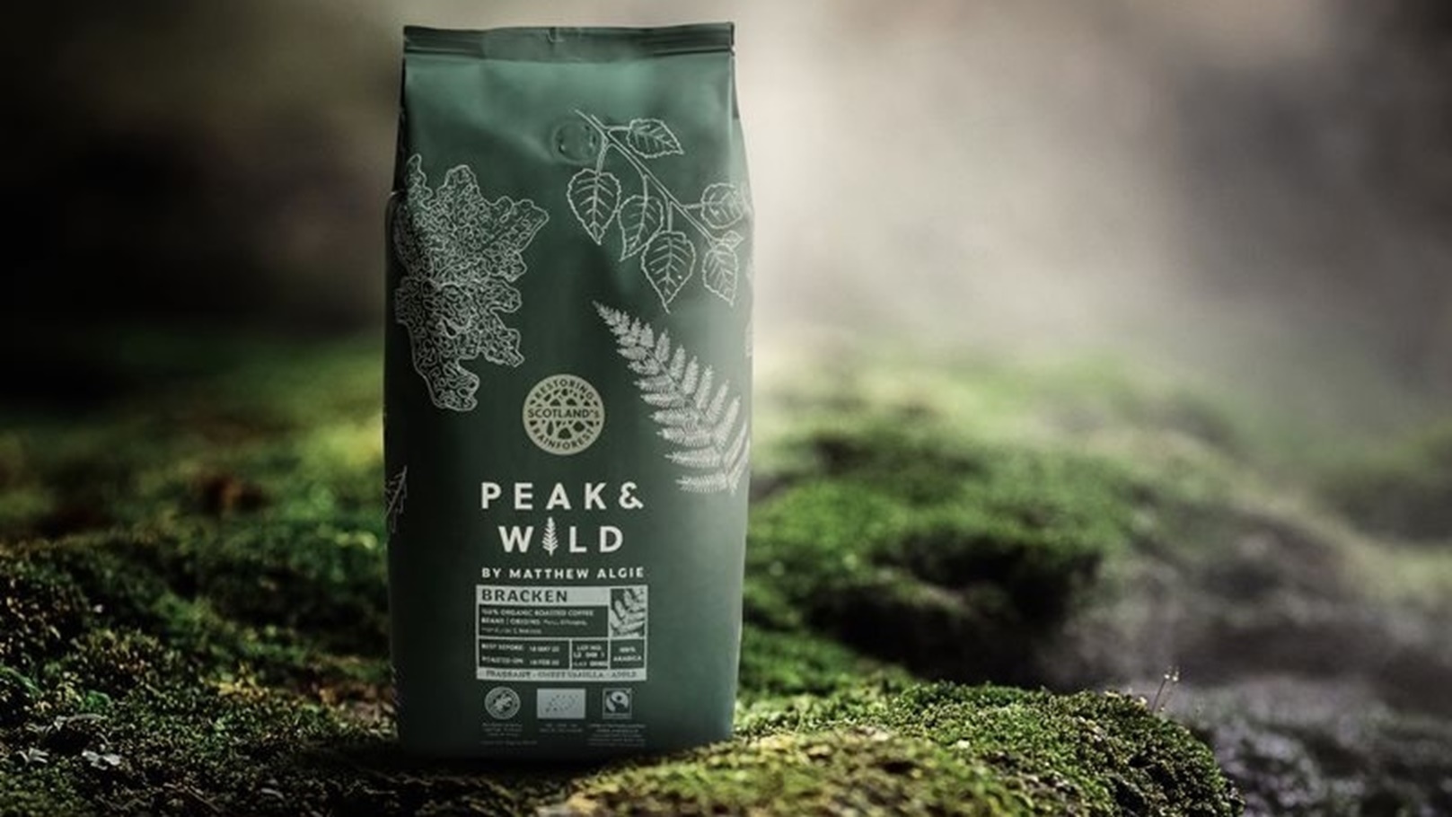 Matthew-Algie-Peak--800x533