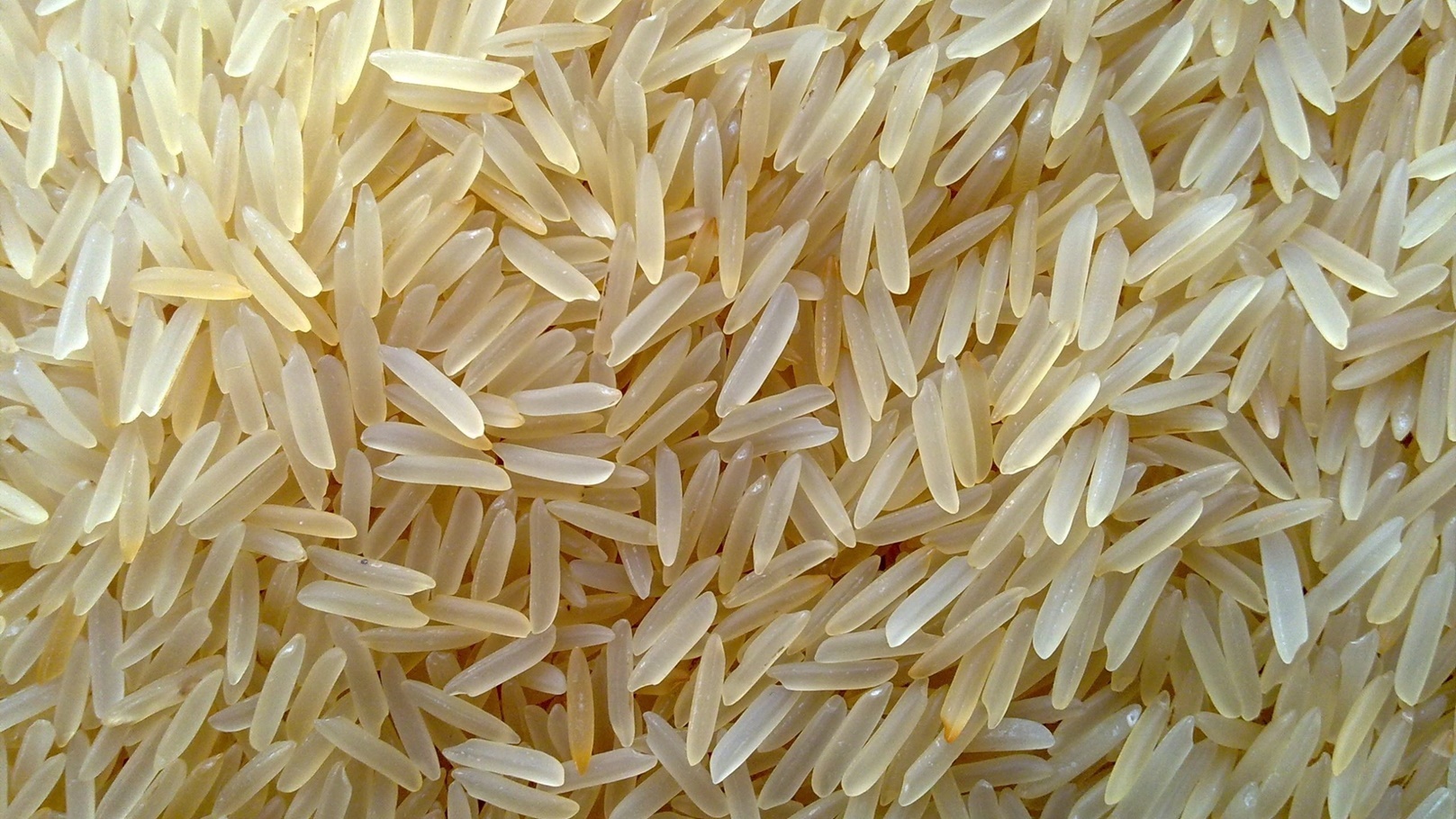 أرز بسمتي ذهبي