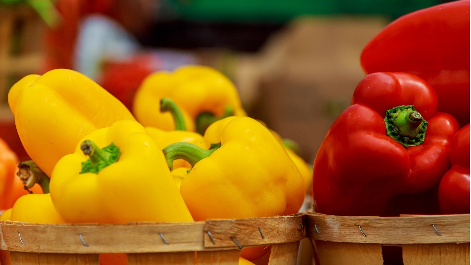 الفلفل الملون