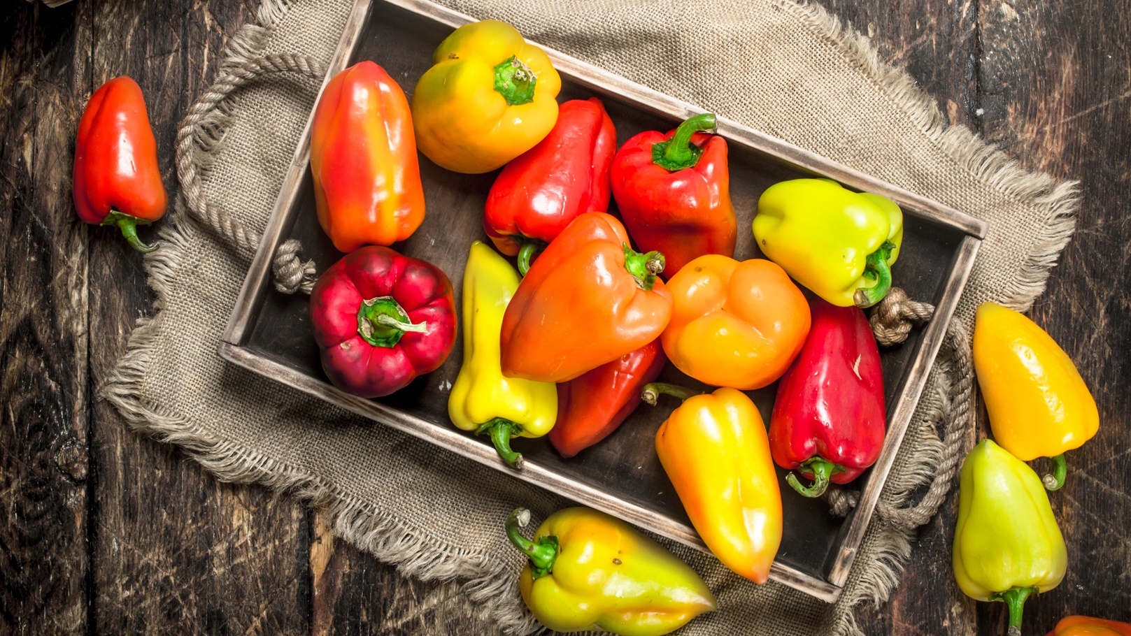 الفلفل الملون