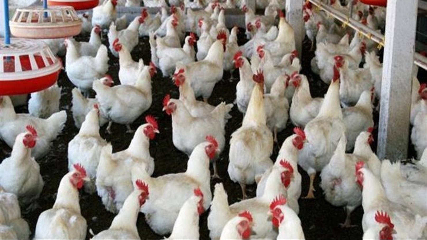 2021_8_14_1_7_14_672