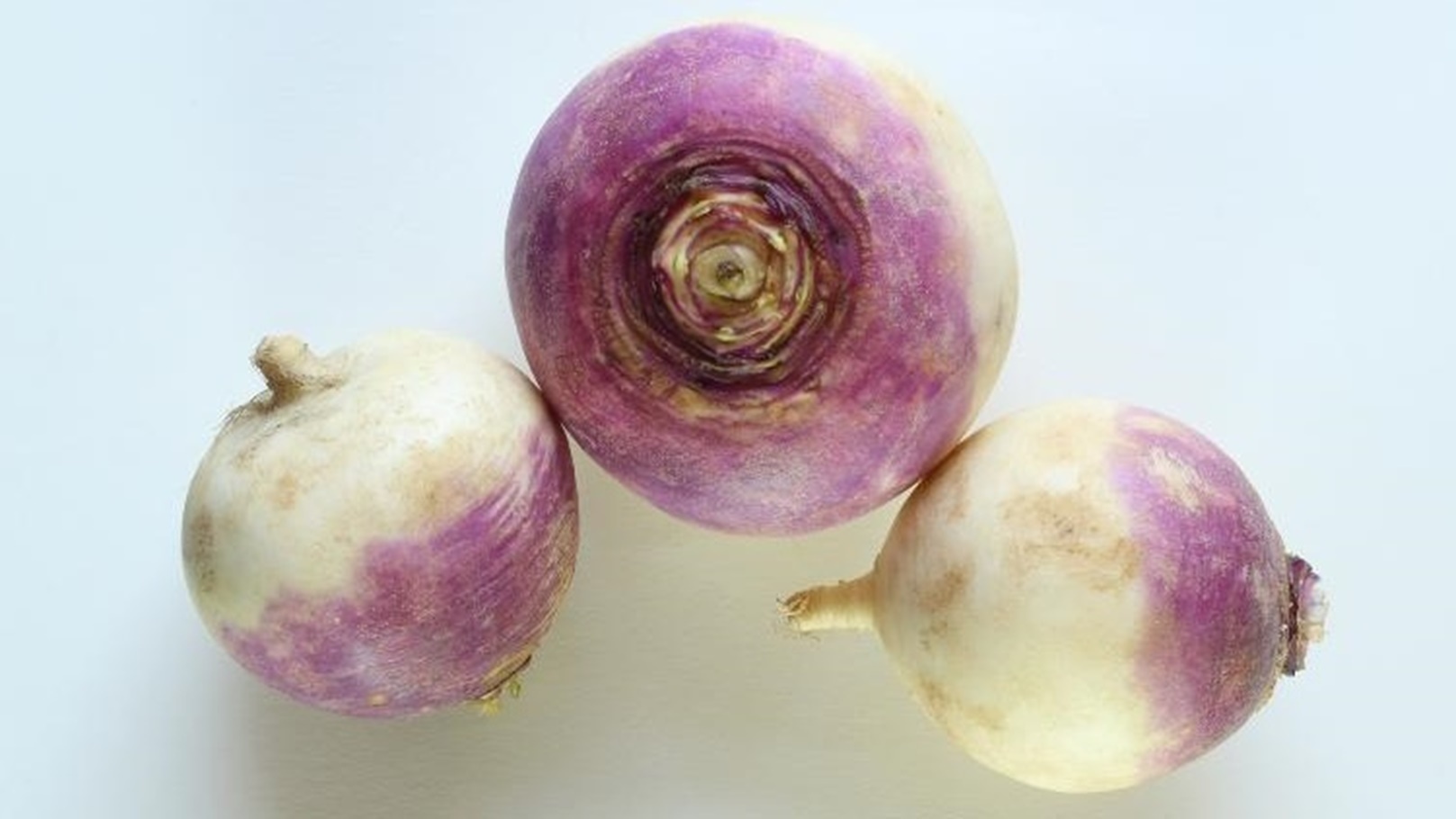 WhatsApp Image 2022-02-04 at 3.11.17 PM (1)