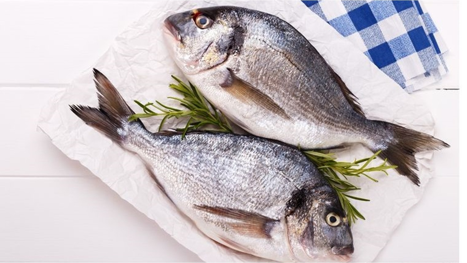 1202224115545787850232