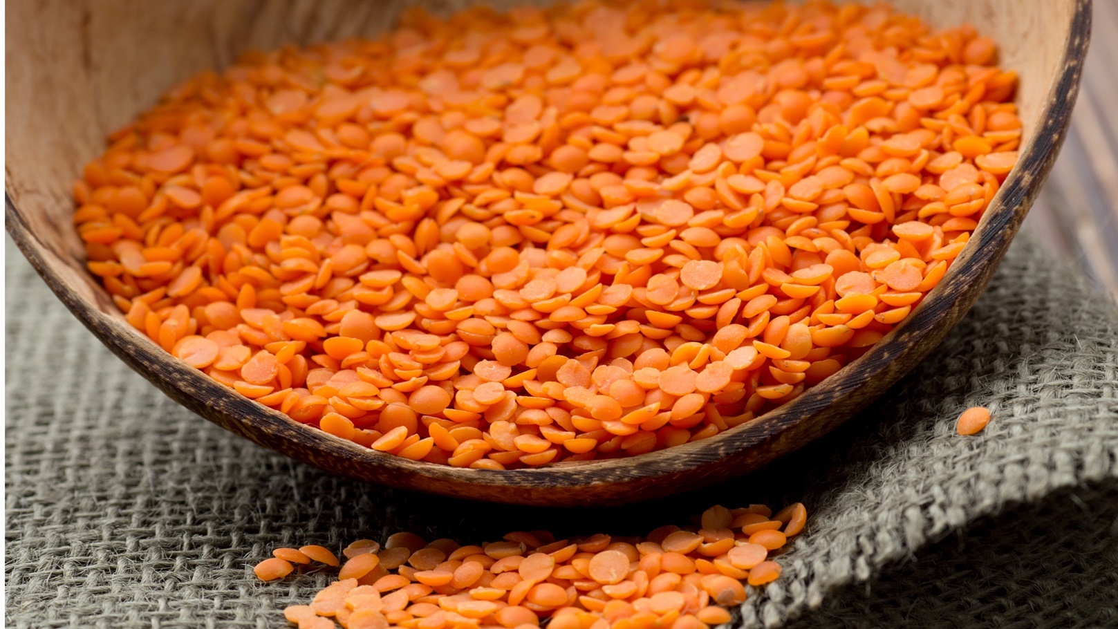 lentil-2021-08-28-14-28-39-utc