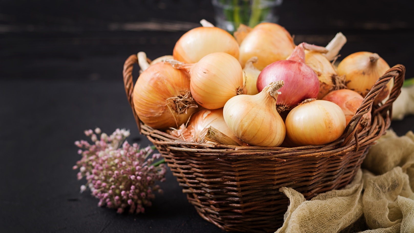 fresh-young-onion-bulbs-and-onion-blossoms-2021-08-26-23-06-29-utc