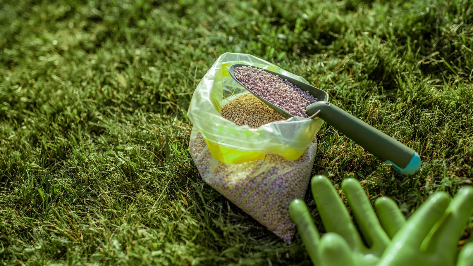 fertilizer-and-working-gloves-on-the-grass-2021-09-04-07-47-23-utc