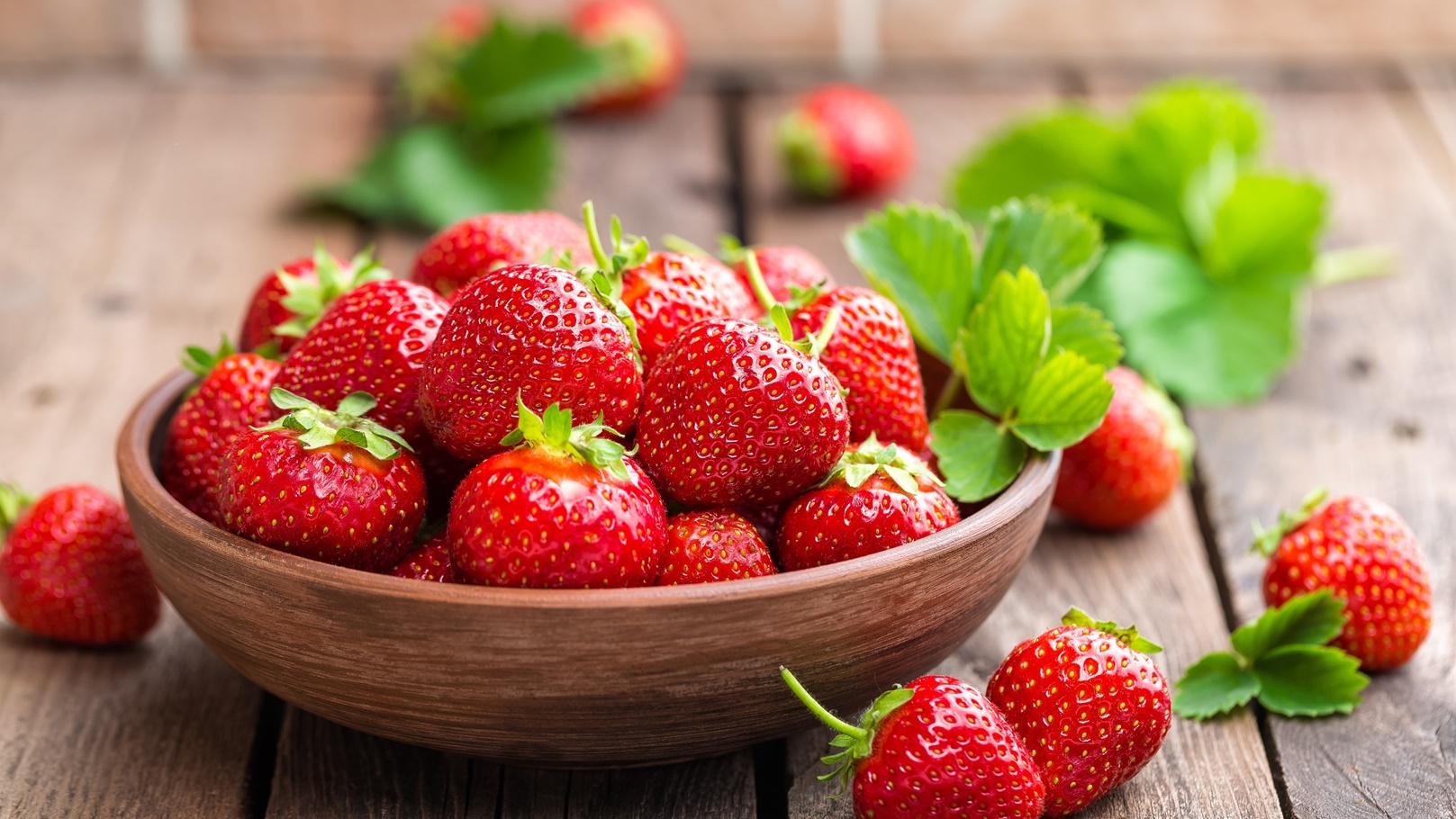 fresh-juicy-strawberries-with-leaves-strawberry-2021-08-26-17-20-59-utc