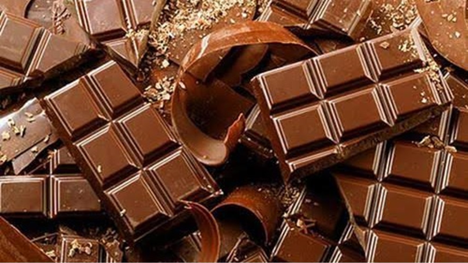 images - 2023-02-11T214802.198