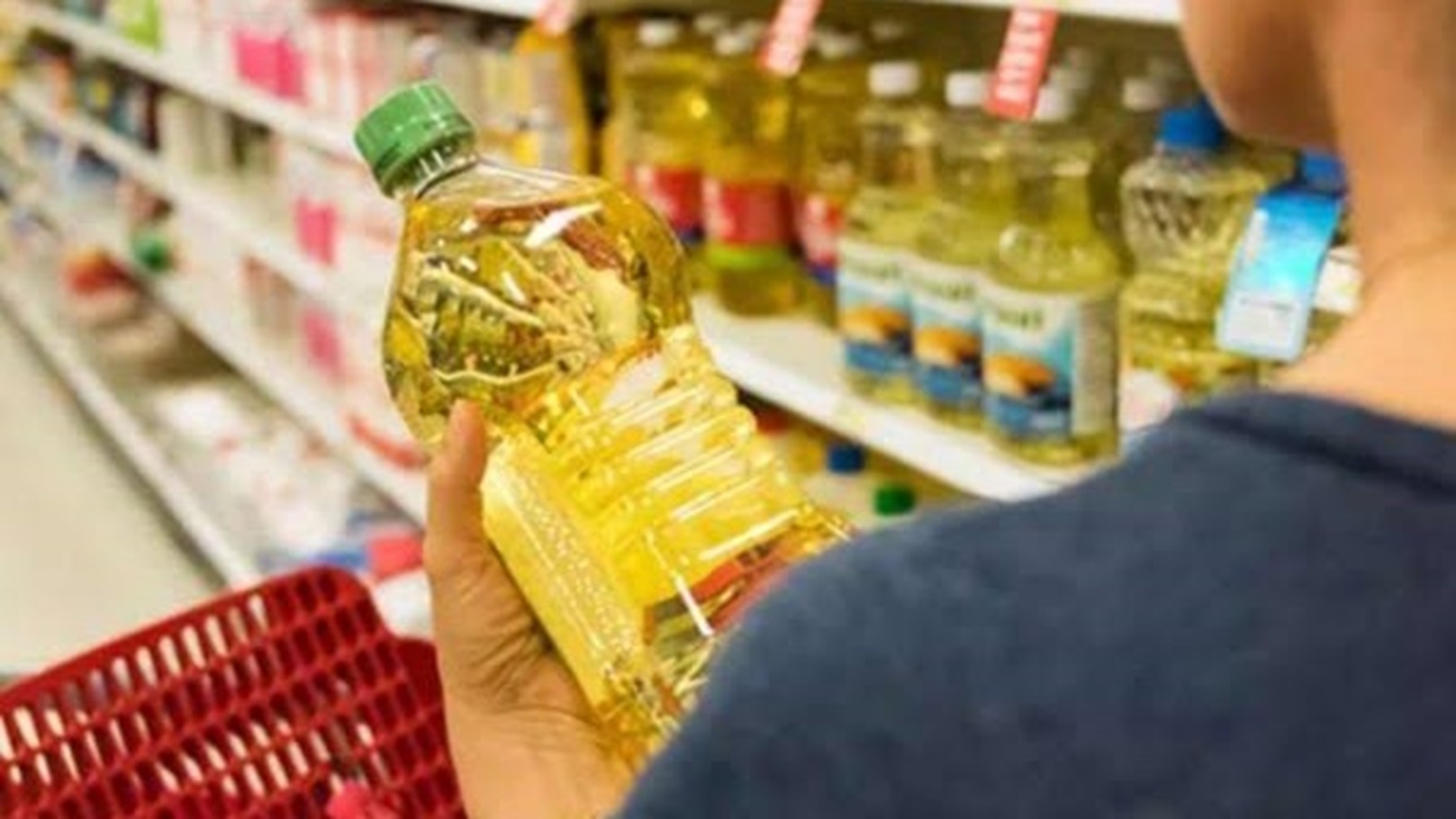 images - 2023-02-11T223415.011