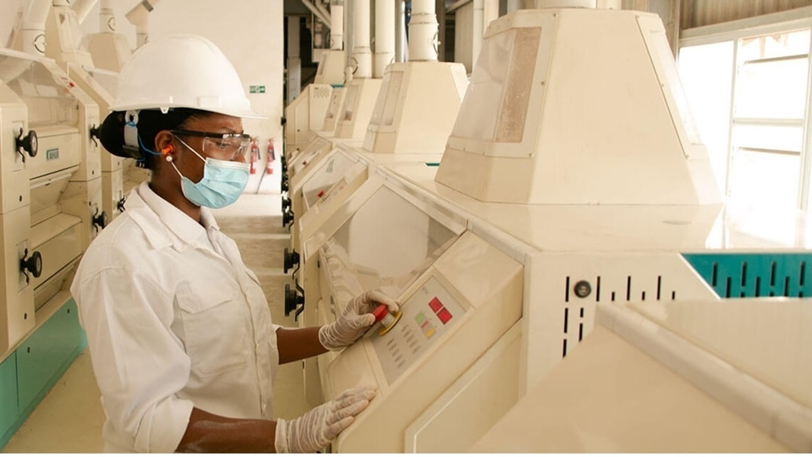 الاستثمار في المطاحن