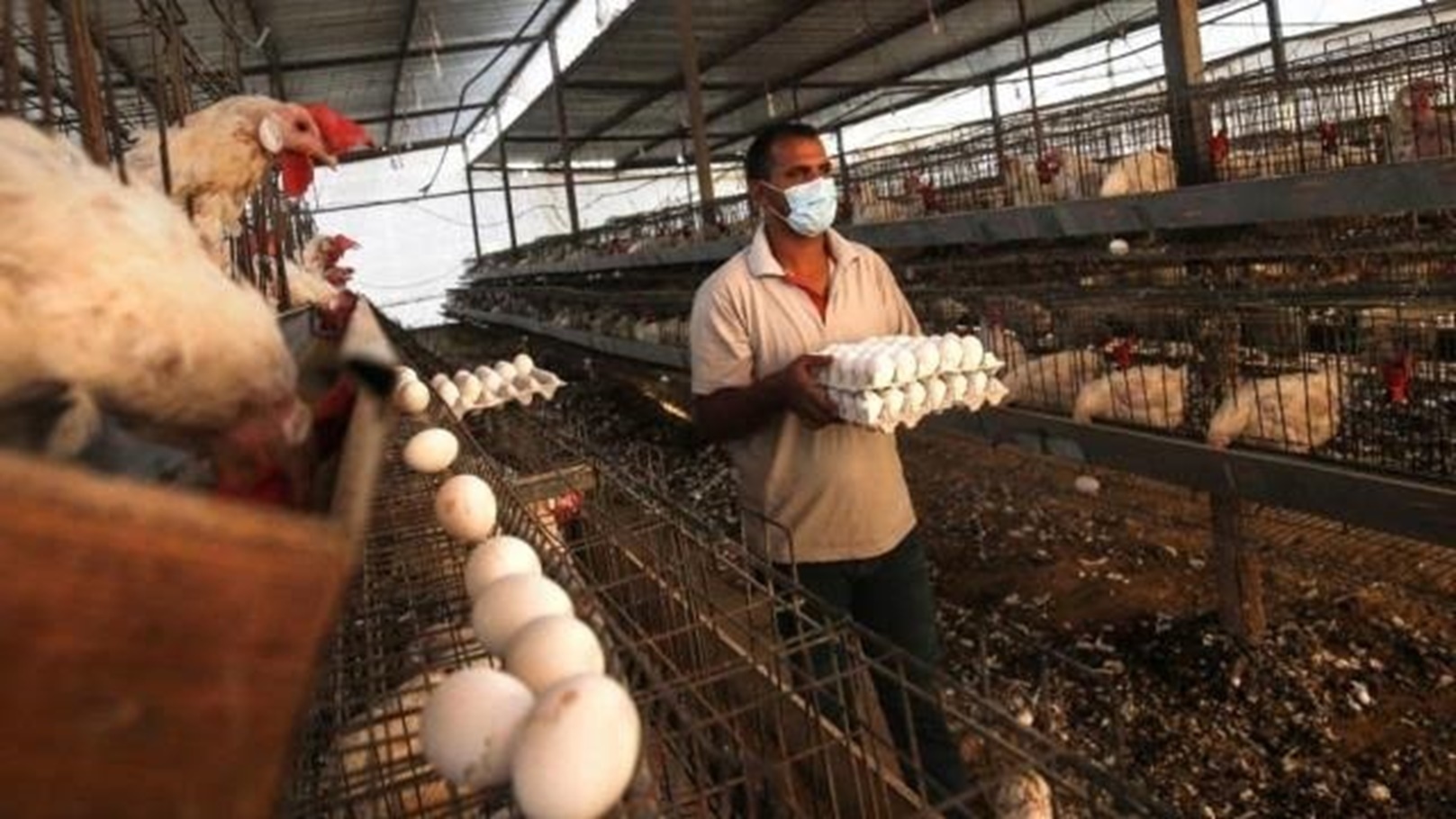 images - 2023-02-12T142156.195