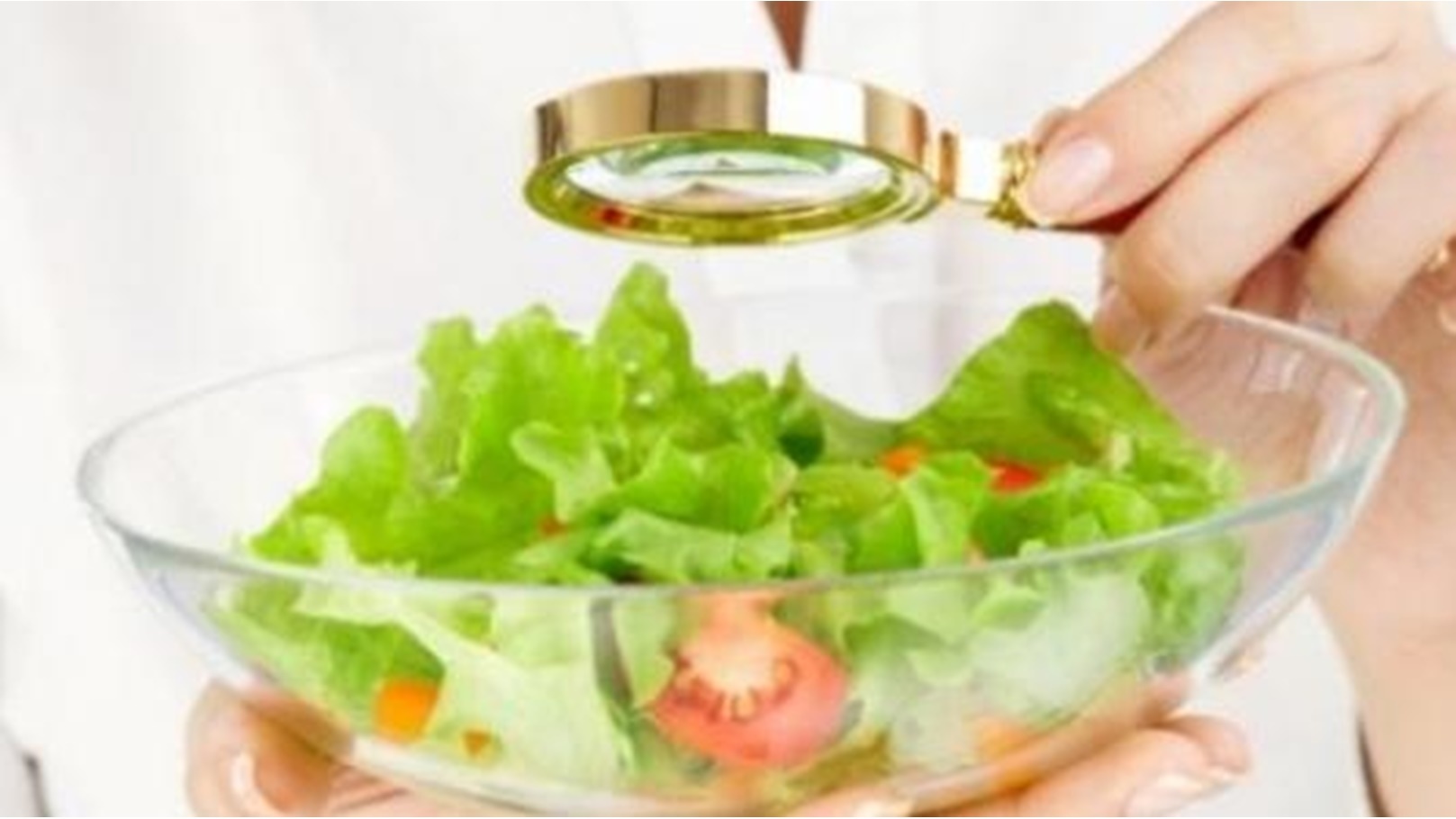 كيف_يمكن_الحفاظ_على_صحة_الغذاء_وسلامته