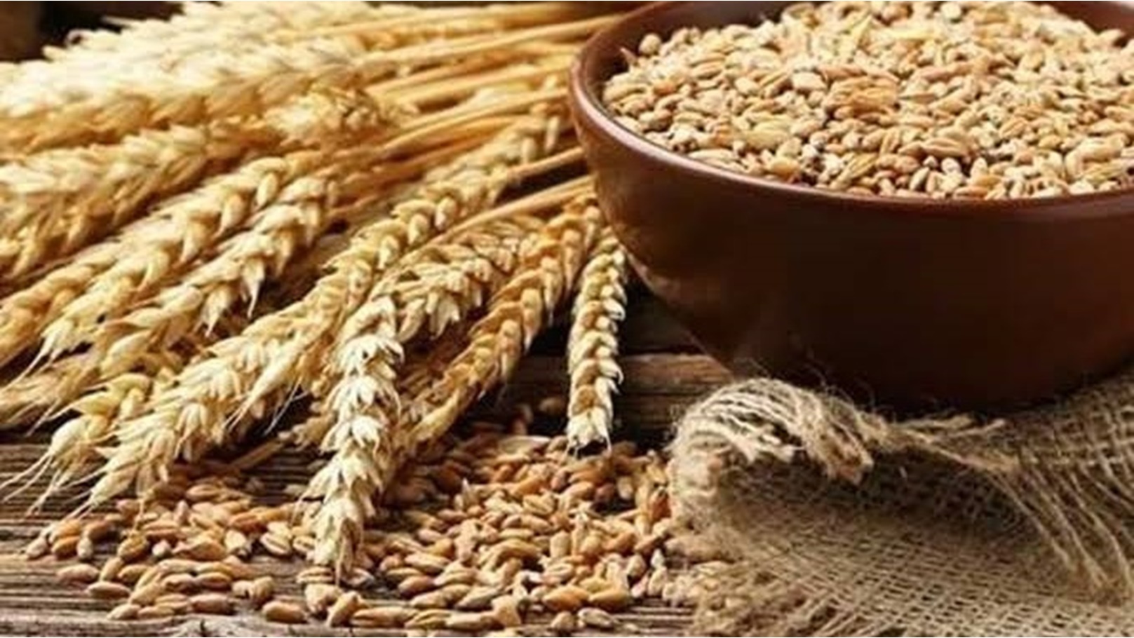 images - 2023-02-18T182610.565