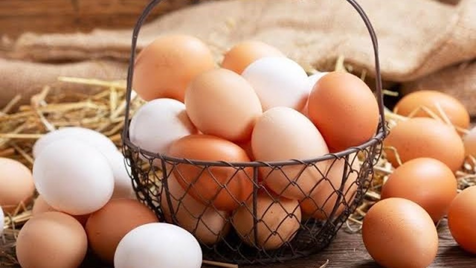 images - 2023-02-19T151137.703