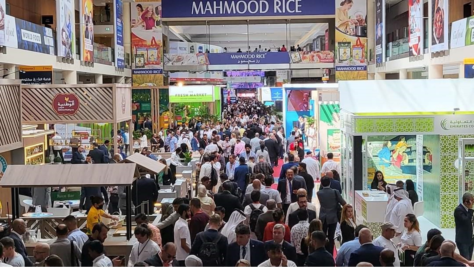 FB_IMG_1676886621157