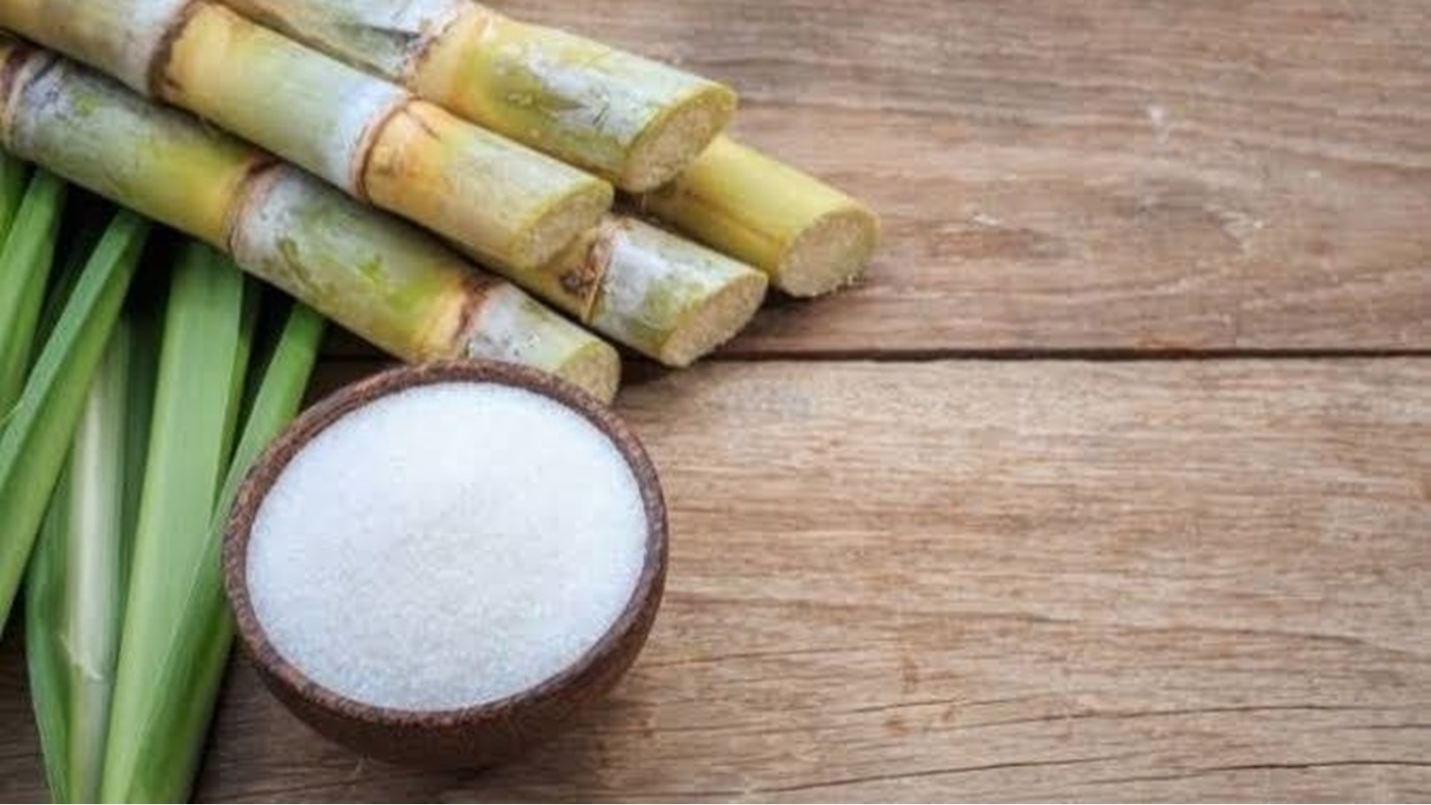 images - 2023-02-04T135111.540