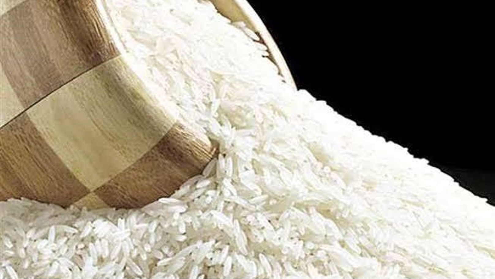 images - 2023-02-02T113626.289