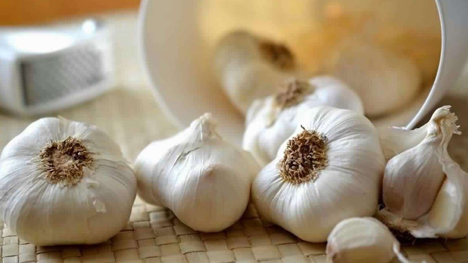 garlic