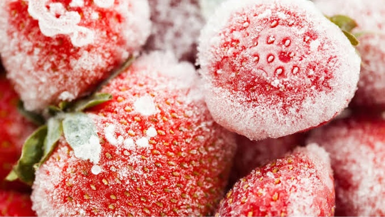 الفراولة المجمدة