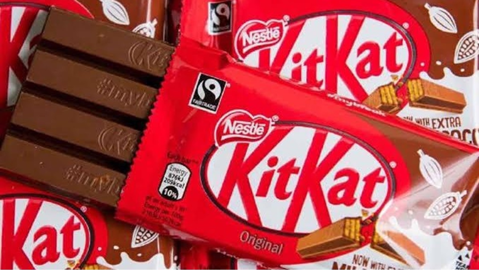 IMG-20250202-WA0008(2)