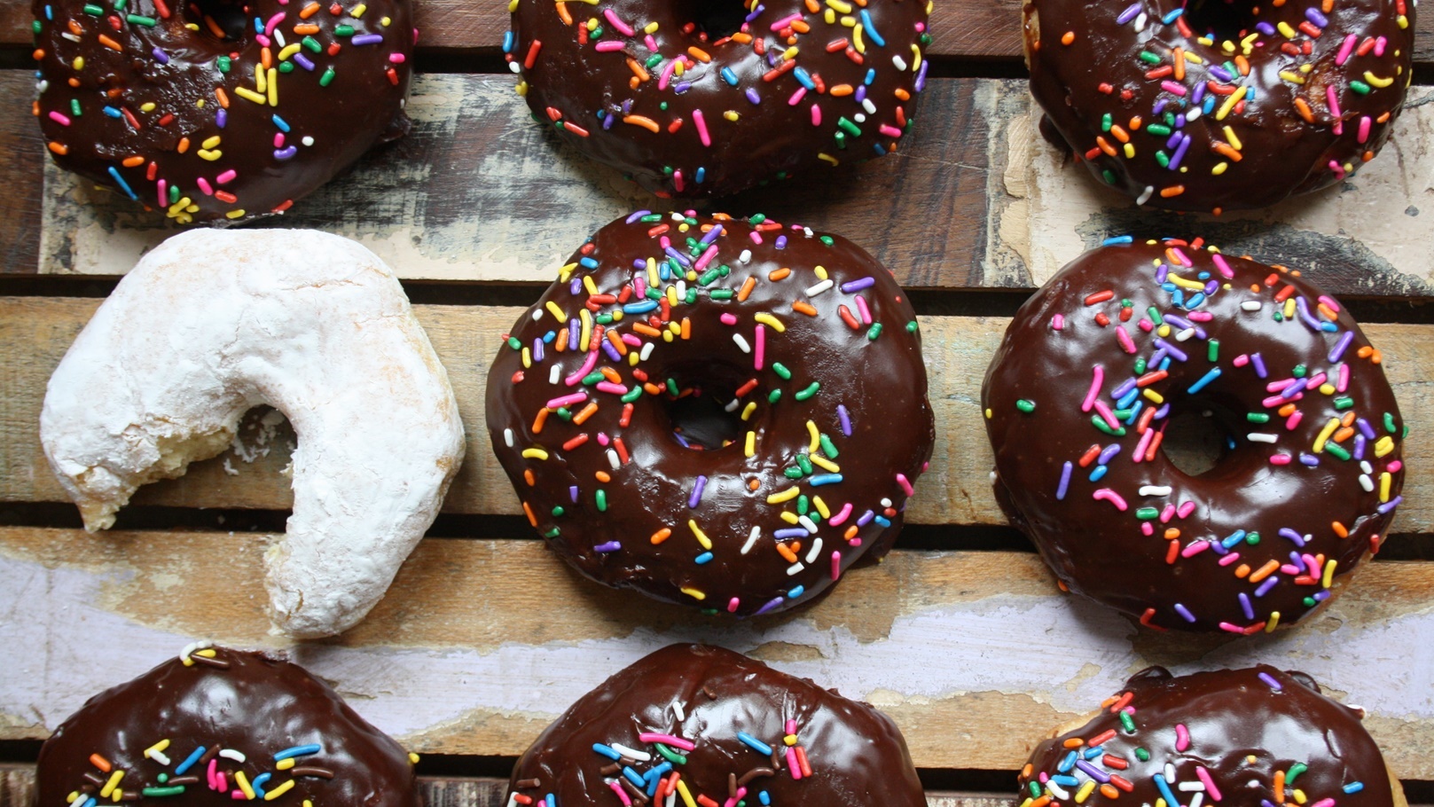 دوناتس مروة الشافعي الخطير