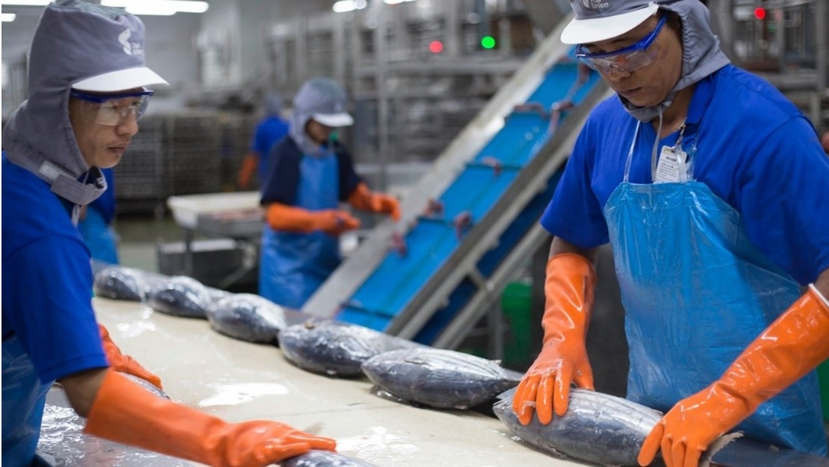 شركة الأسماك التايلاندية