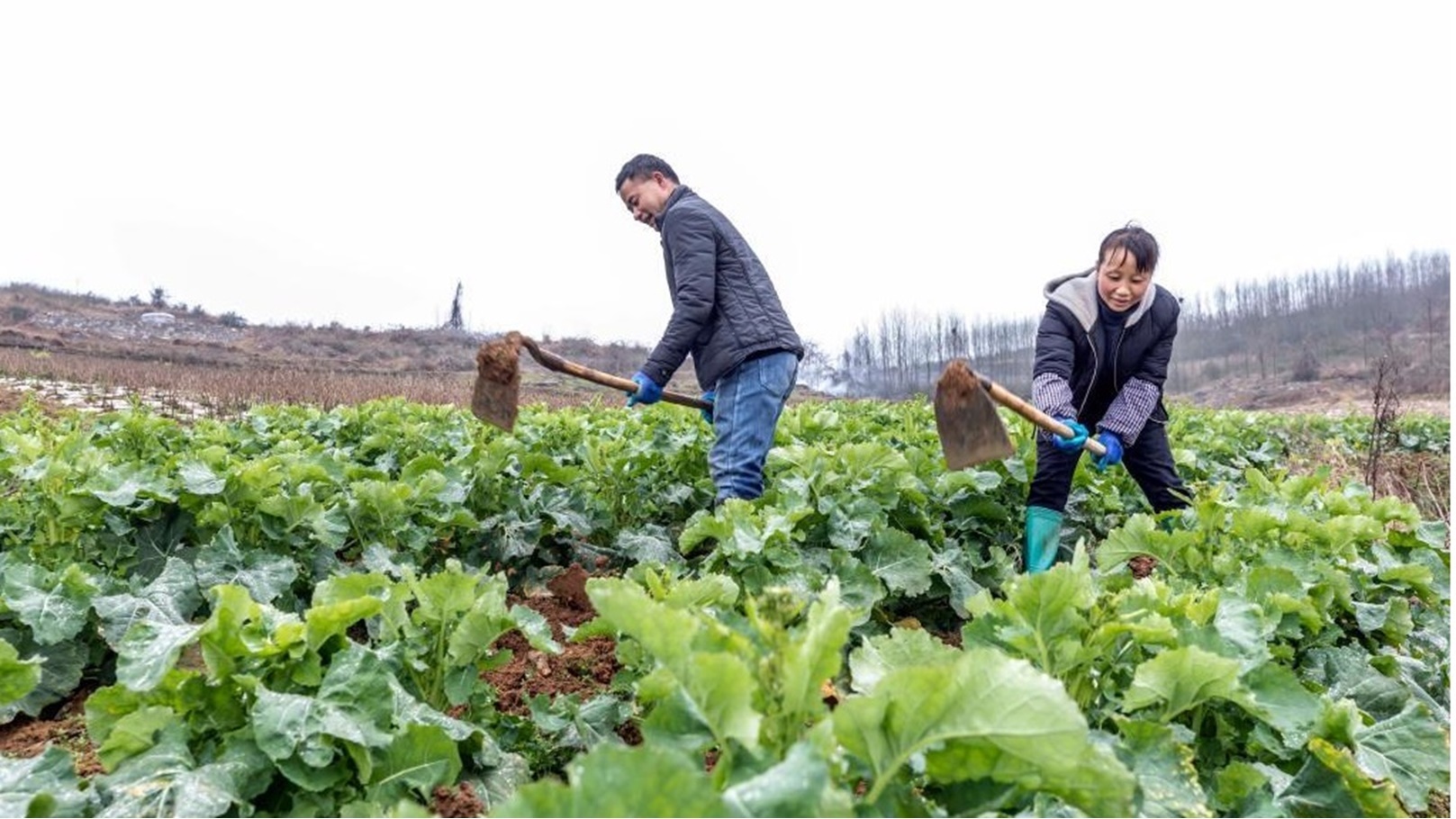 1310480425_16453256283261n