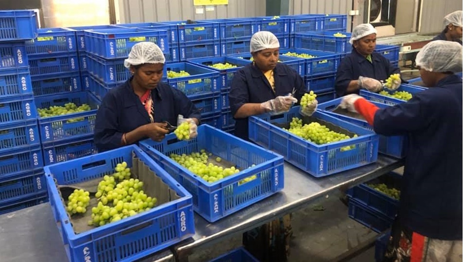 88240600_535500880405274_9185306471854768128_n