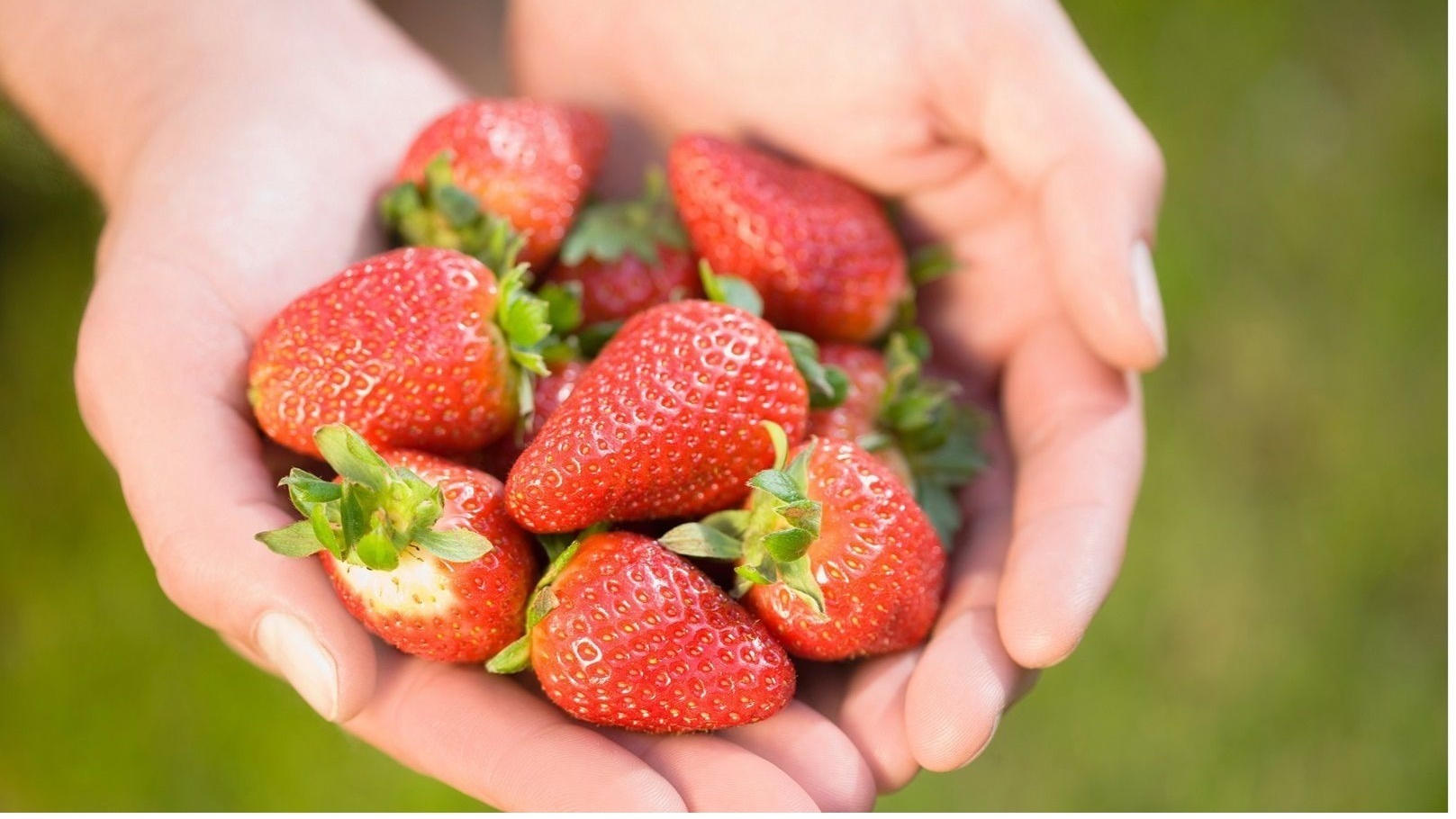 320225113352441272697