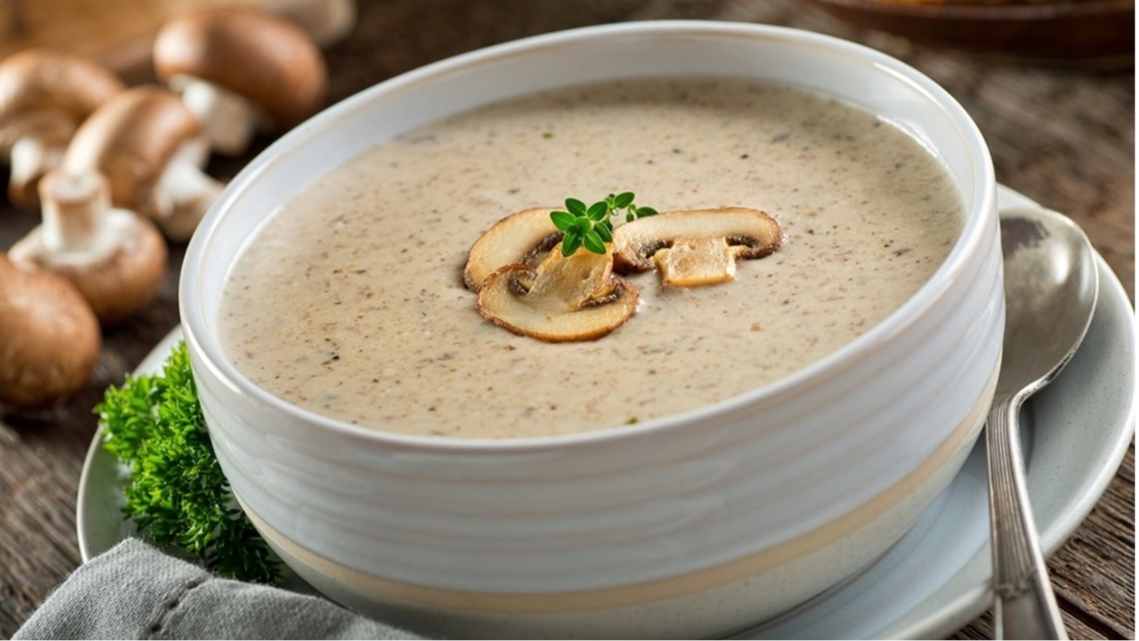 شوربة مشروم بالكريمة