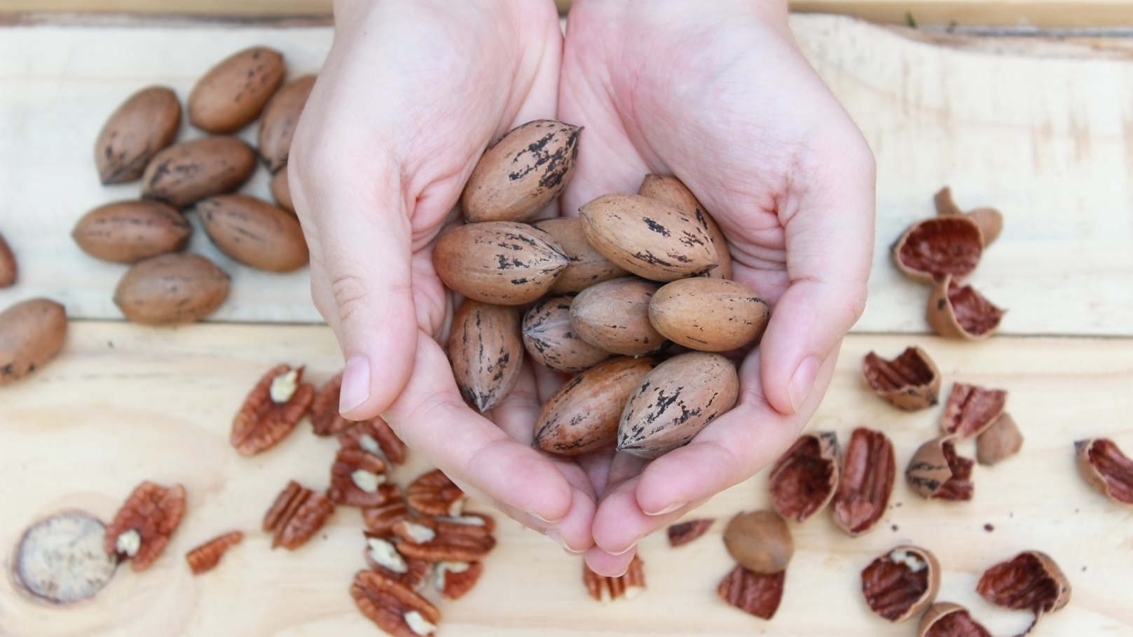 pecan-nuts-2021-08-29-08-38-33-utc