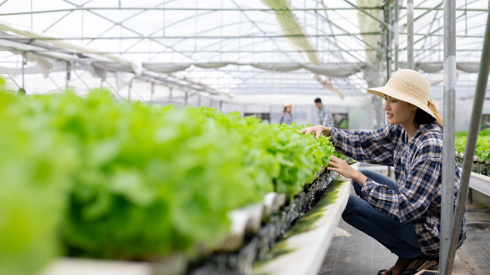 woman-farmer-inspecting-the-quality-of-organic-veg-2021-09-02-14-56-33-utc