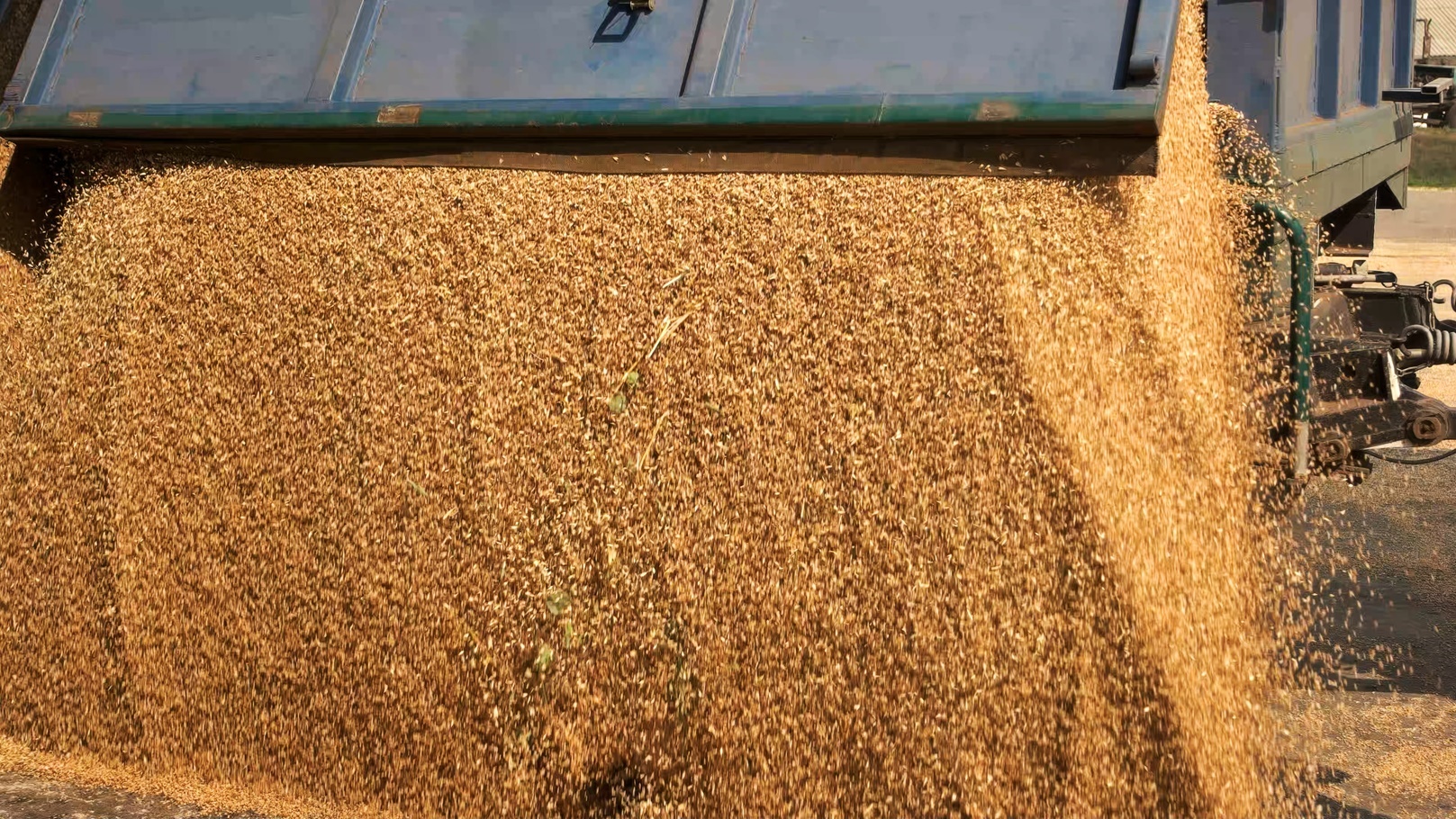 corn-grain-pouring-in-a-agricultural-silo-2022-01-28-11-12-18-utc