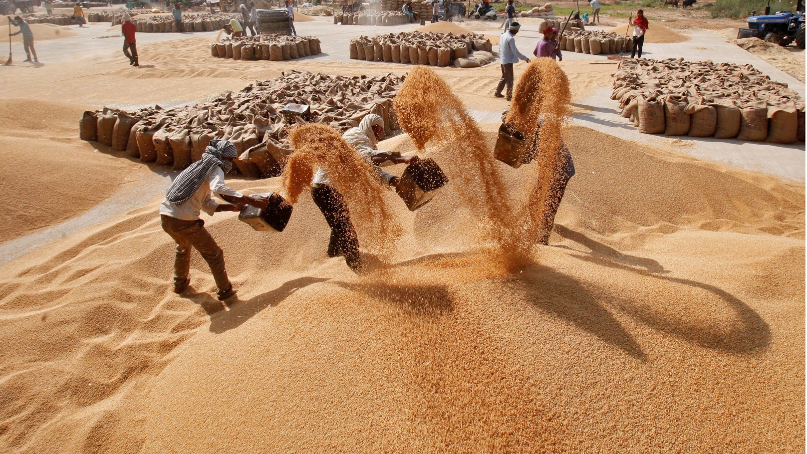 FEL4HSCYLVNARMD3OXYLDP24NQ