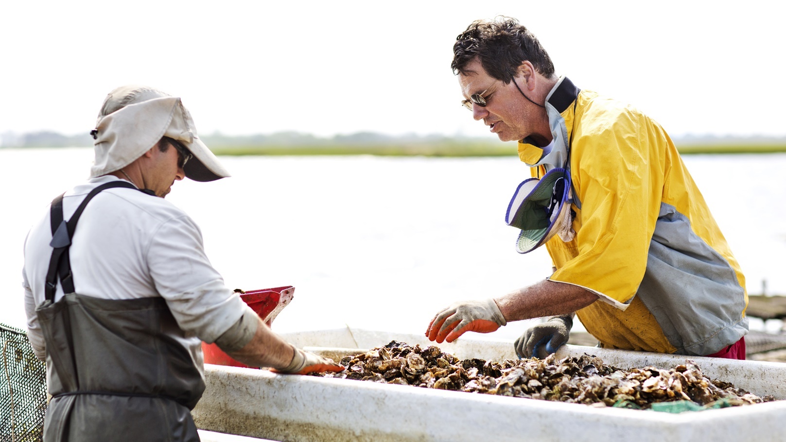 workers-working-at-fishing-industry-2022-01-25-21-50-09-utc