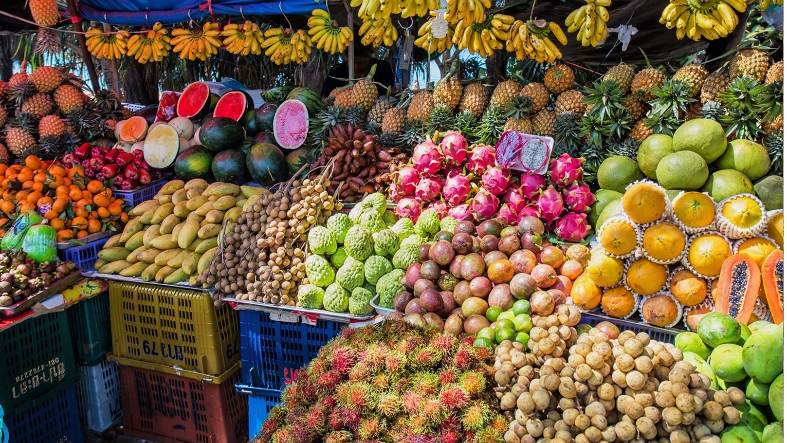 2b50ddf5-5d11-408b-a0af-681216a7adfb