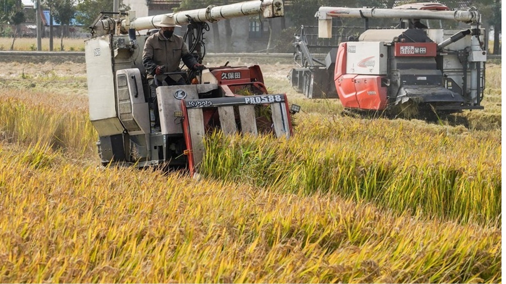 1310530504_16482750206831n